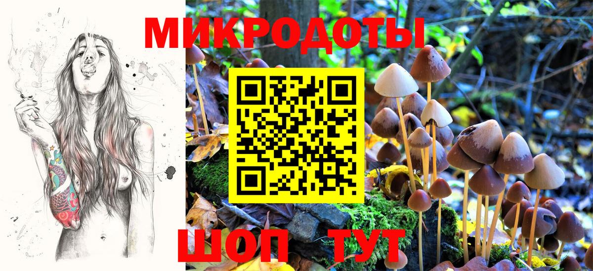 хочу наркоту  Псилоцибиновые грибы MAGIC MUSHROOMS  Вход с VPN  Гатчина  Галлюциногенные грибы Psilocybine cubensis 